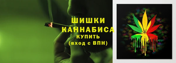 ешки Аркадак