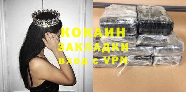 сатива Арсеньев
