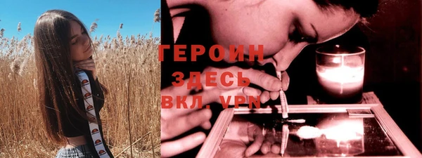 молекула духа Пестово
